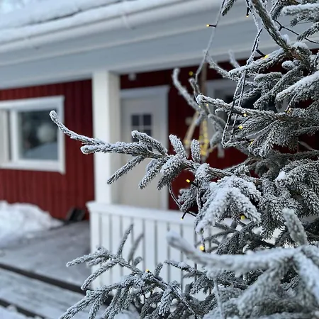 Kuurala * Rovaniemi